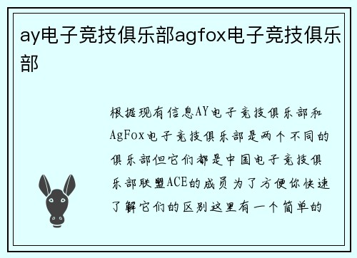 ay电子竞技俱乐部agfox电子竞技俱乐部